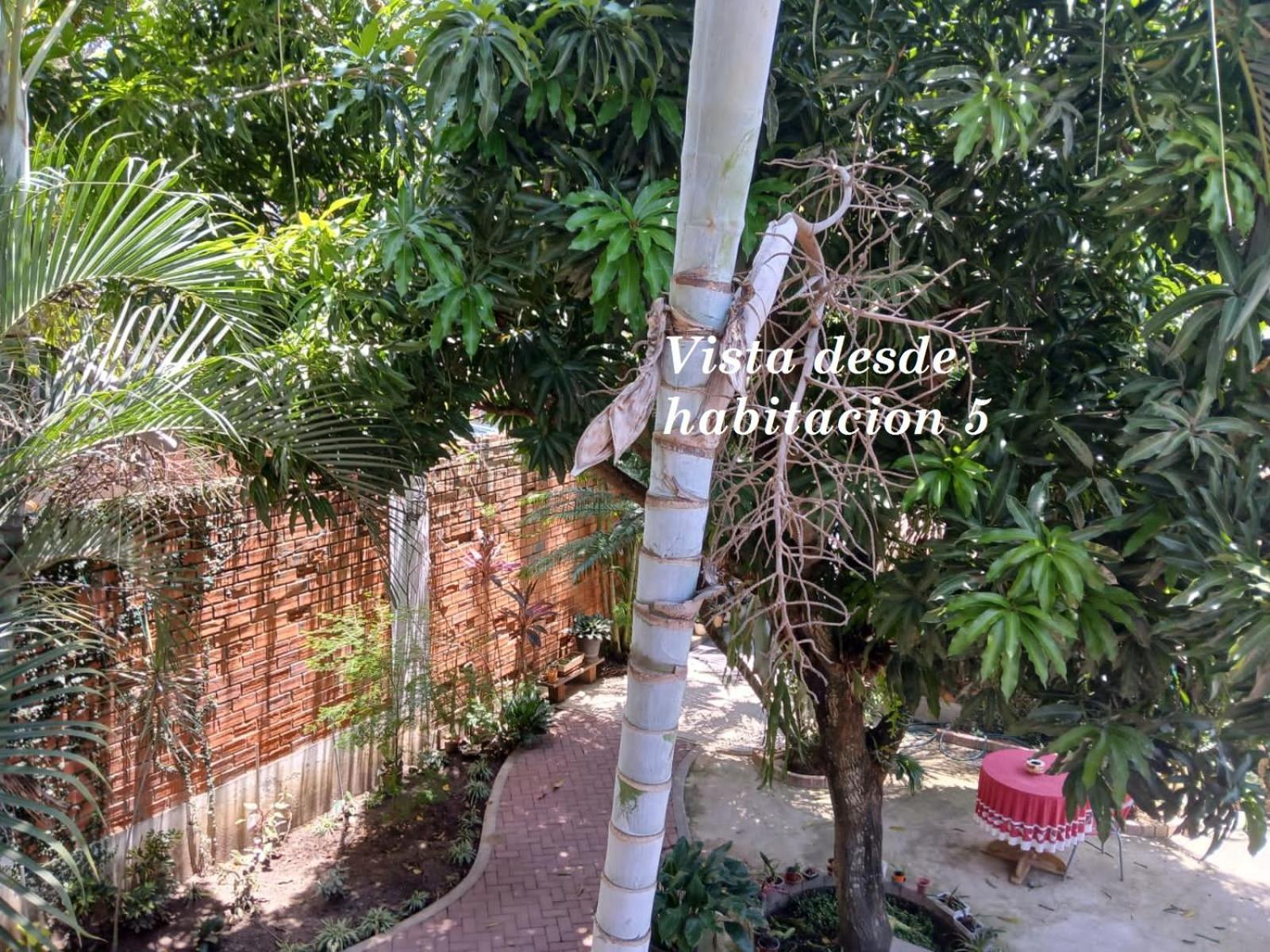 Alojamiento Familiar Custodia Tarapoto Zewnętrze zdjęcie